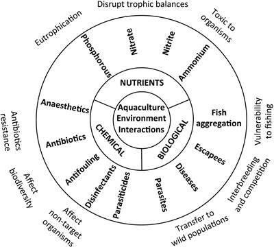 Towards Environmental Sustainability in Marine Finfish Aquaculture